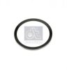DT 1.24502 Shaft Oil Seal